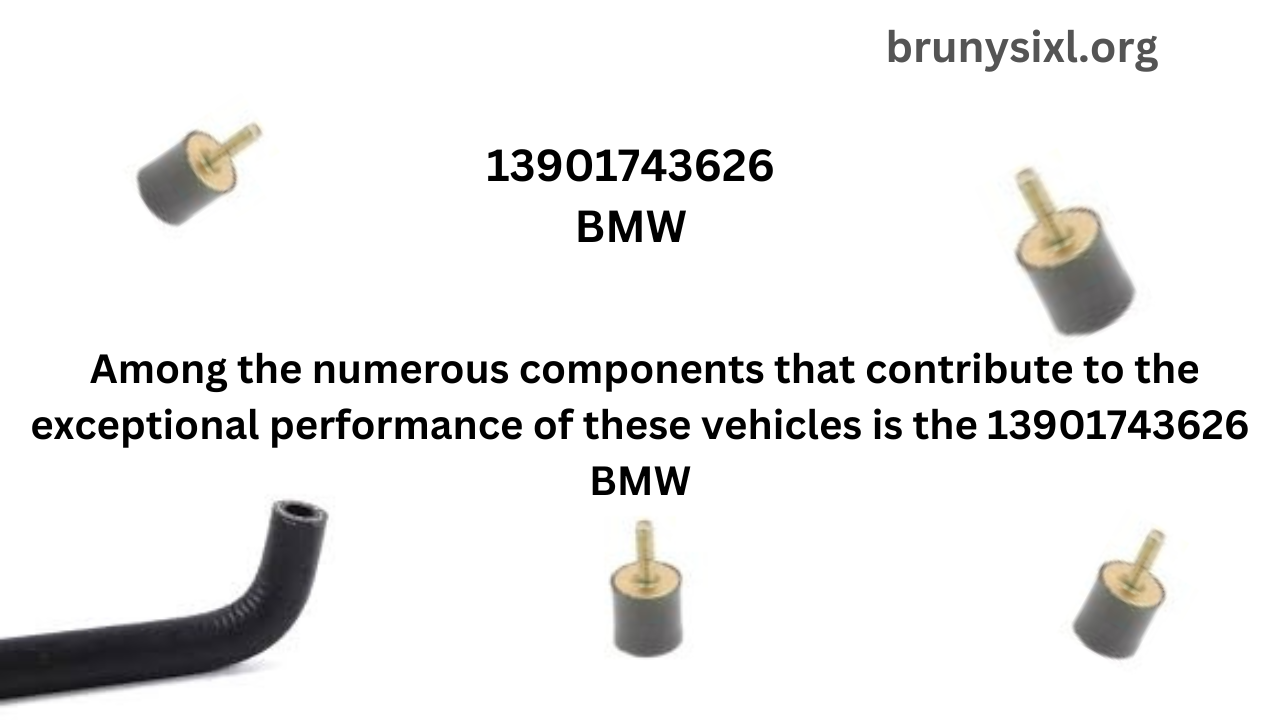 13901743626 BMW: Everything You Need to Know