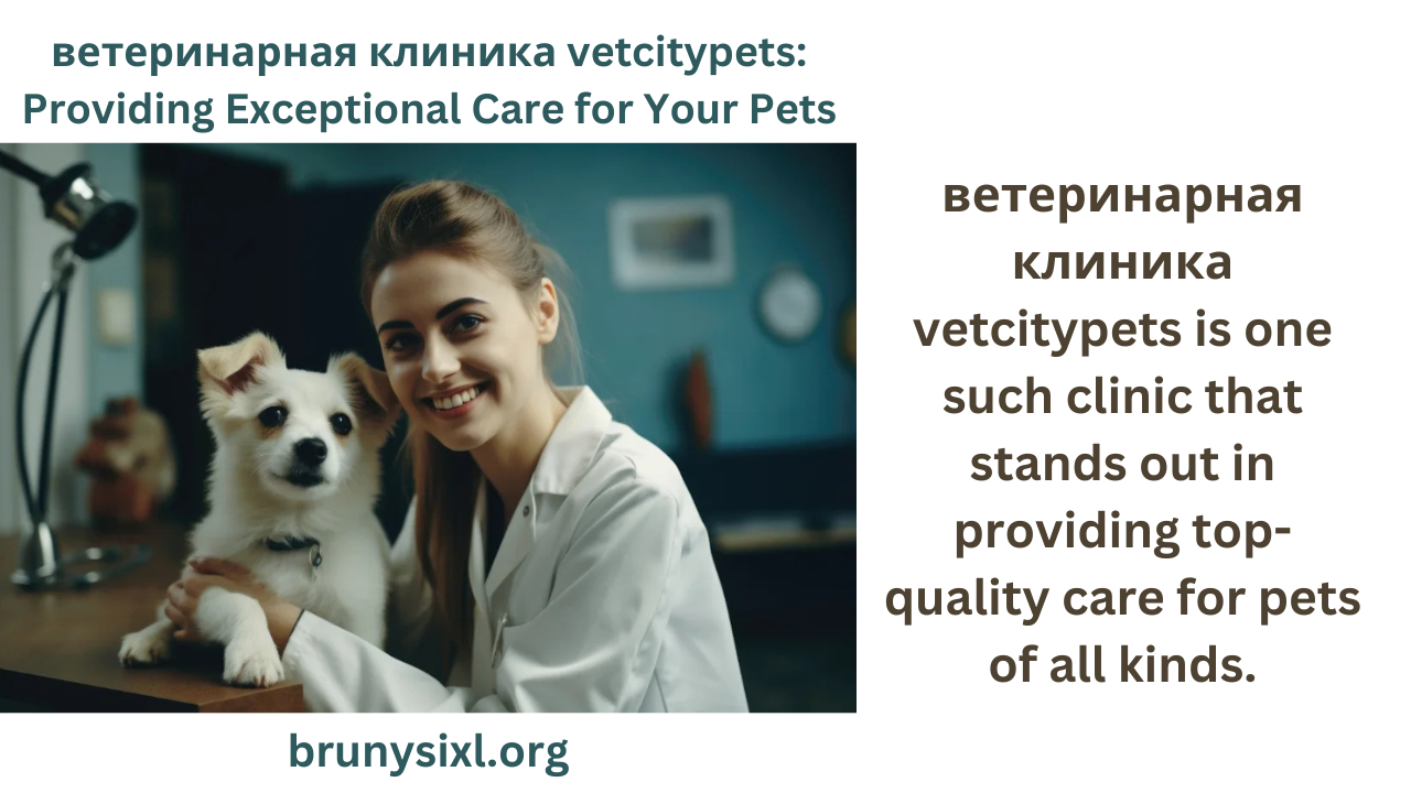 ветеринарная клиника vetcitypets: Providing Exceptional Care for Your Pets