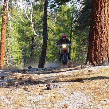 27E105 Hartley Loop Single Track Trail Mammoth